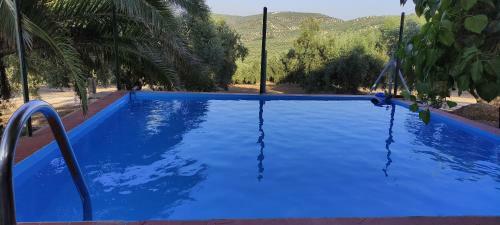 La Perdiz De Molinca