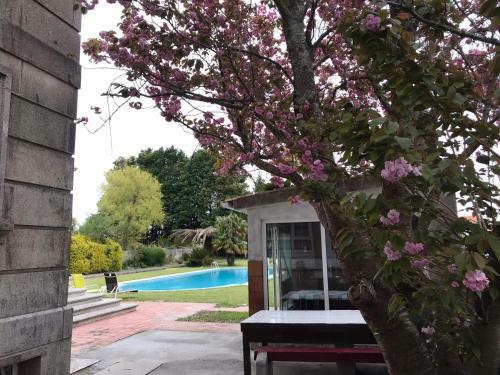 Villa Las Camelias