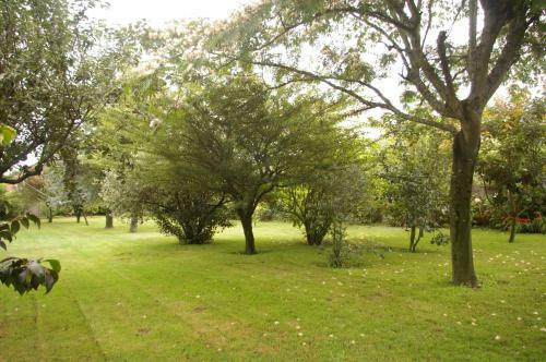 Vivienda R�stica Con Jard�n Y Patio Interior
