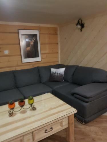 Apartamento Go?ciniec U Bobak�w
