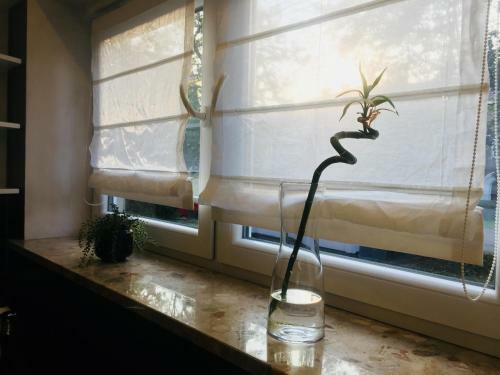 Apartament Ala