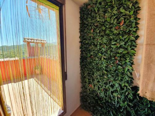 Casas Color�n Colorado