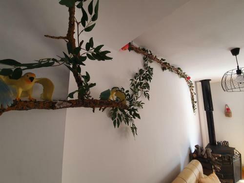 Casas Color�n Colorado