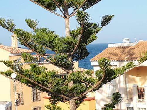 Apartamento La Sirena Baria15