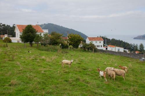 Beachfront Surf & Holiday House, Up To 12 Persons