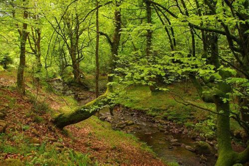 Agroturismo El Rinc�n Del Besaya