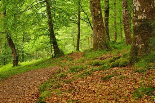 Agroturismo El Rinc�n Del Besaya