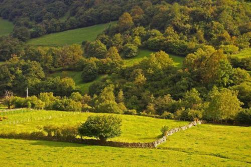 Agroturismo El Rinc�n Del Besaya