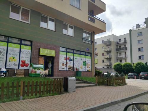 Green Kabaty Apartment 2