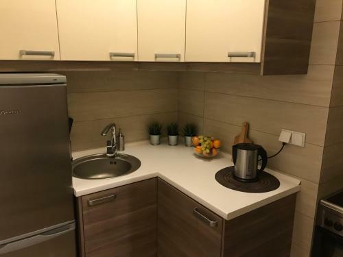 Premium Apartment - Willa Parc