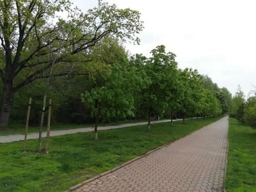 Green Kabaty Apartment 3