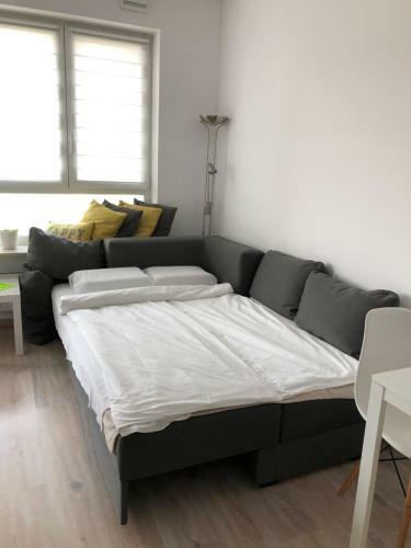 Apartamenty Metro S?odowiec, ?eromskiego 1