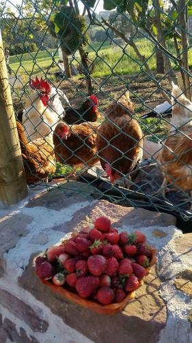 Agroturismo Turismo Rural El Piensu