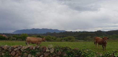 Agroturismo Turismo Rural El Piensu