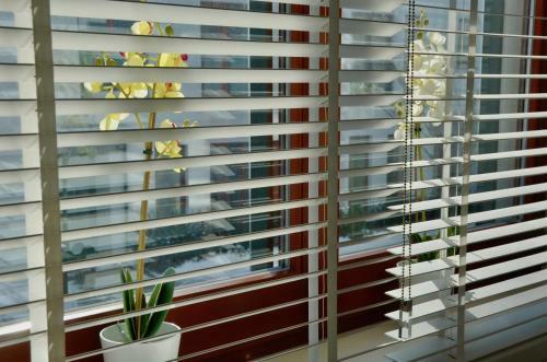 Apartament Wzg�rze S?owik�w