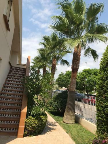 Apartamento N� 13 Urb. Cala Josep