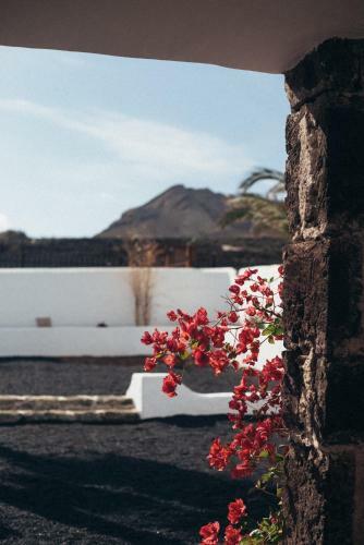 Agroturismo Casa Nube Blanca