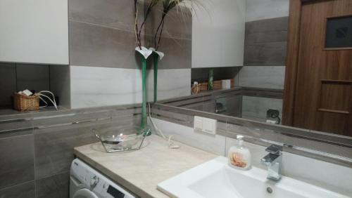 Apartamento Wiatraczna 29