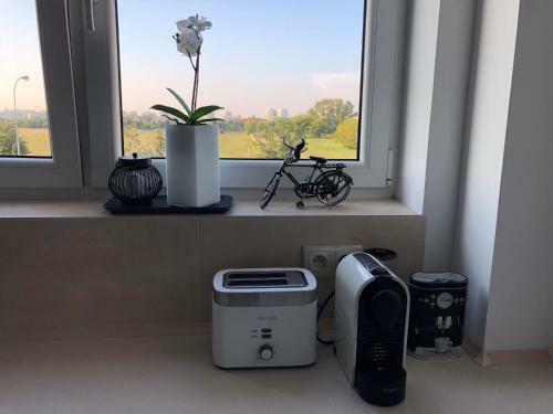 Apartamento Home 4family