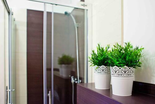 Apartament Malva