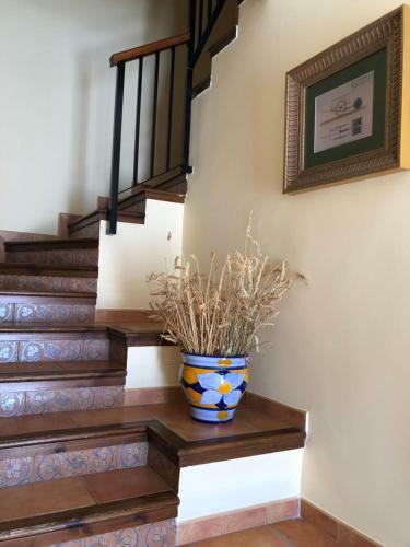 La Casa De Tita Elvira 6