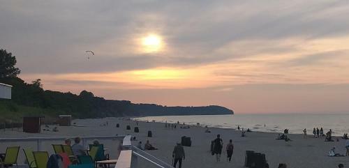 Orle Gniazdo