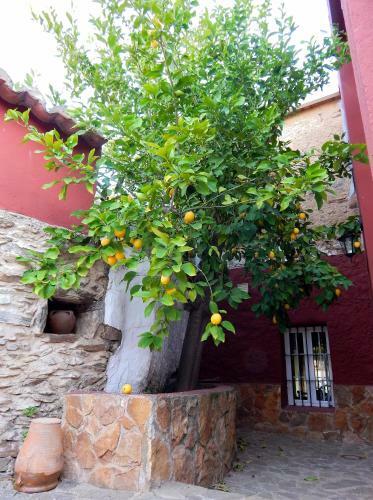 Casa Rural La Perra Gorda