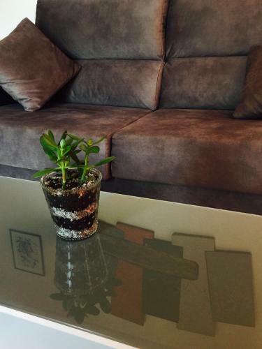 Apartamento Enzamorarte