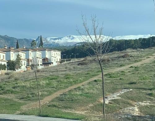 Villa Mare, A Los Pies De Sierra Nevada