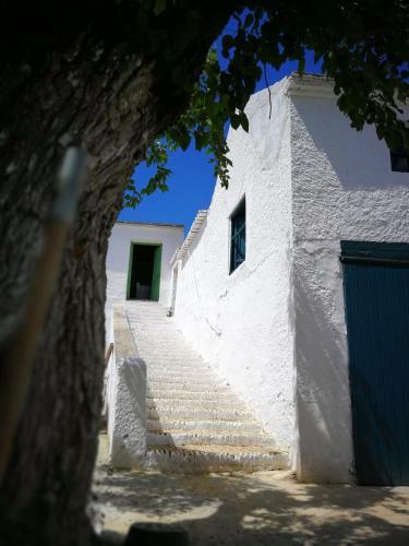 Agroturismo Casa Grande De Zujaira