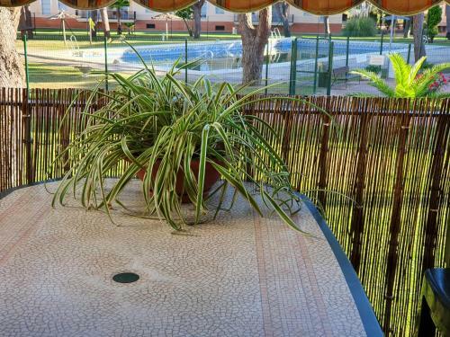 Apartamento Alquiler Mazagon Pre-parque Do�ana
