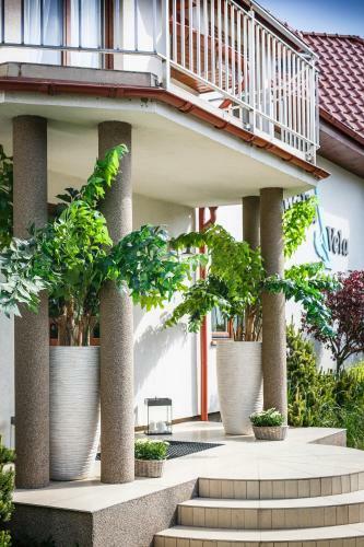 Bed & Breakfast Willa Vela