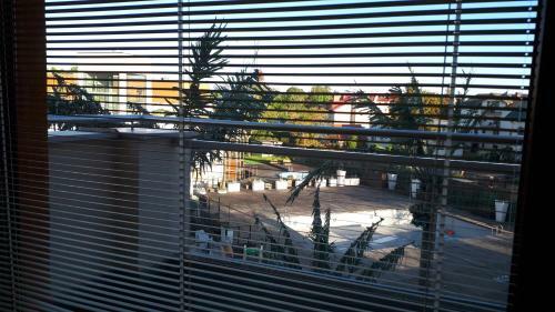 Apartament Books & Sun Maloves
