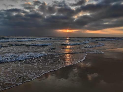 Luxury Apartments Zahara