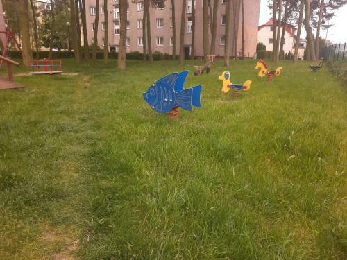 Apartament Oliwkowa Per?a
