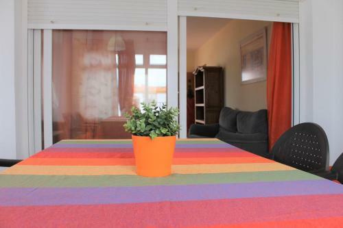 Apartamento �tico En Zahara De Los Atunes