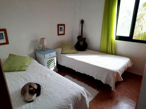 Apartamento Airunnes Atico Duplex Zahara Primera Linea