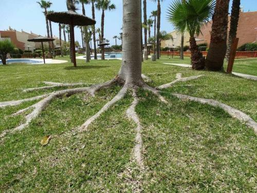 Apartamento En Jardines de Zahara F4a