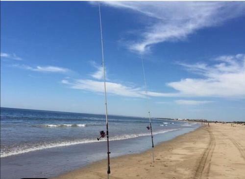 Apartamento En Punta Umbr�a