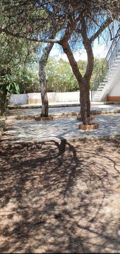 Apartamento Pino Beach