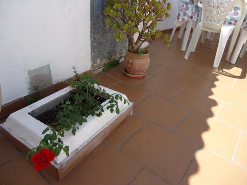 Casa San Enrique Del Mar