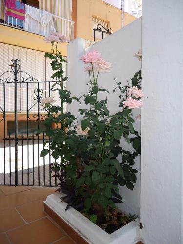 Casa San Enrique Del Mar
