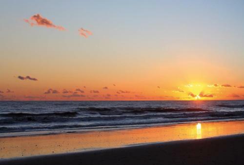 Apartamento Punta Umbr�a Playa Ria