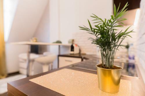 Goldeneye Apartment Center