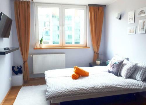 Beautiful Apartment In Downtown Wroc?aw