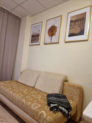 Downtown Turbo Apartments