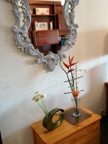 Apartamento Luminoso Piso