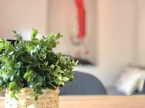 Apartamento Centrico - Casta Alvarez