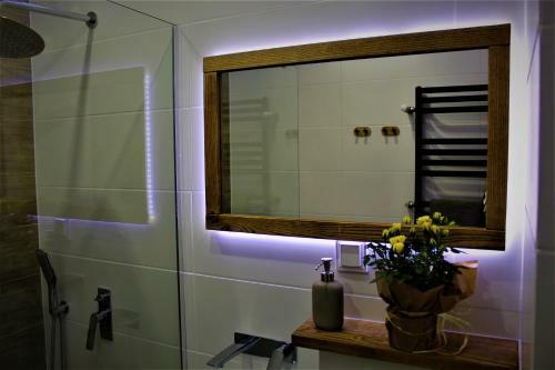 Apartament Przy Arsenale