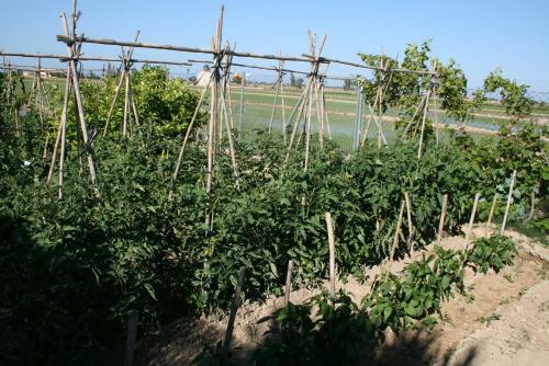 Agroturismo Caseta Del Chato
